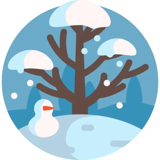 Winter Collection