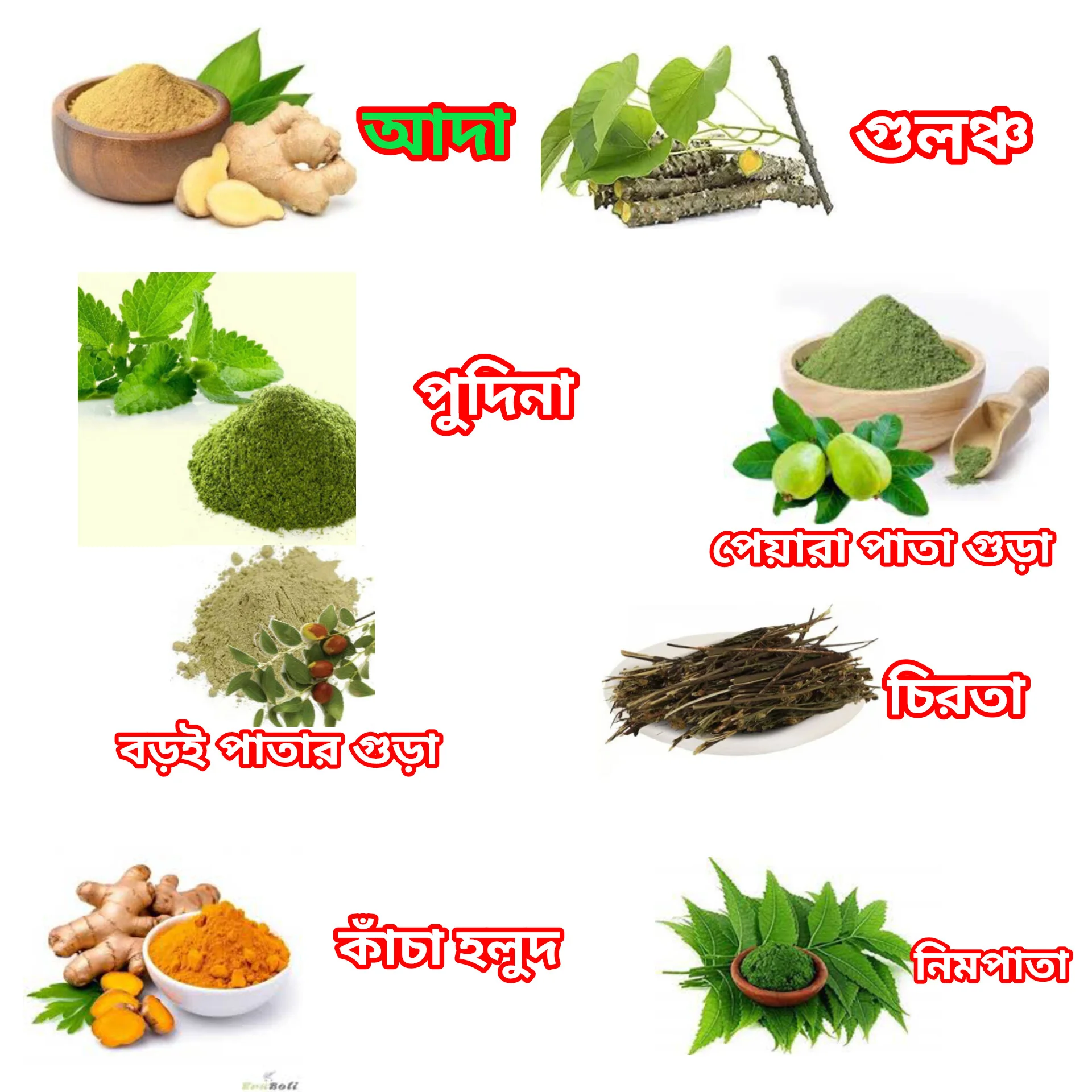 2240-ceb2.webp?resolution=1920_1920