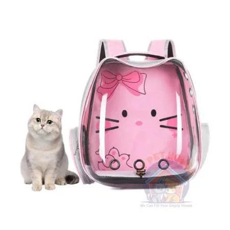 Cat Bag Curve