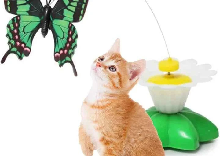 Cat Toy Electric Rotating Colorful Funny Butterfly