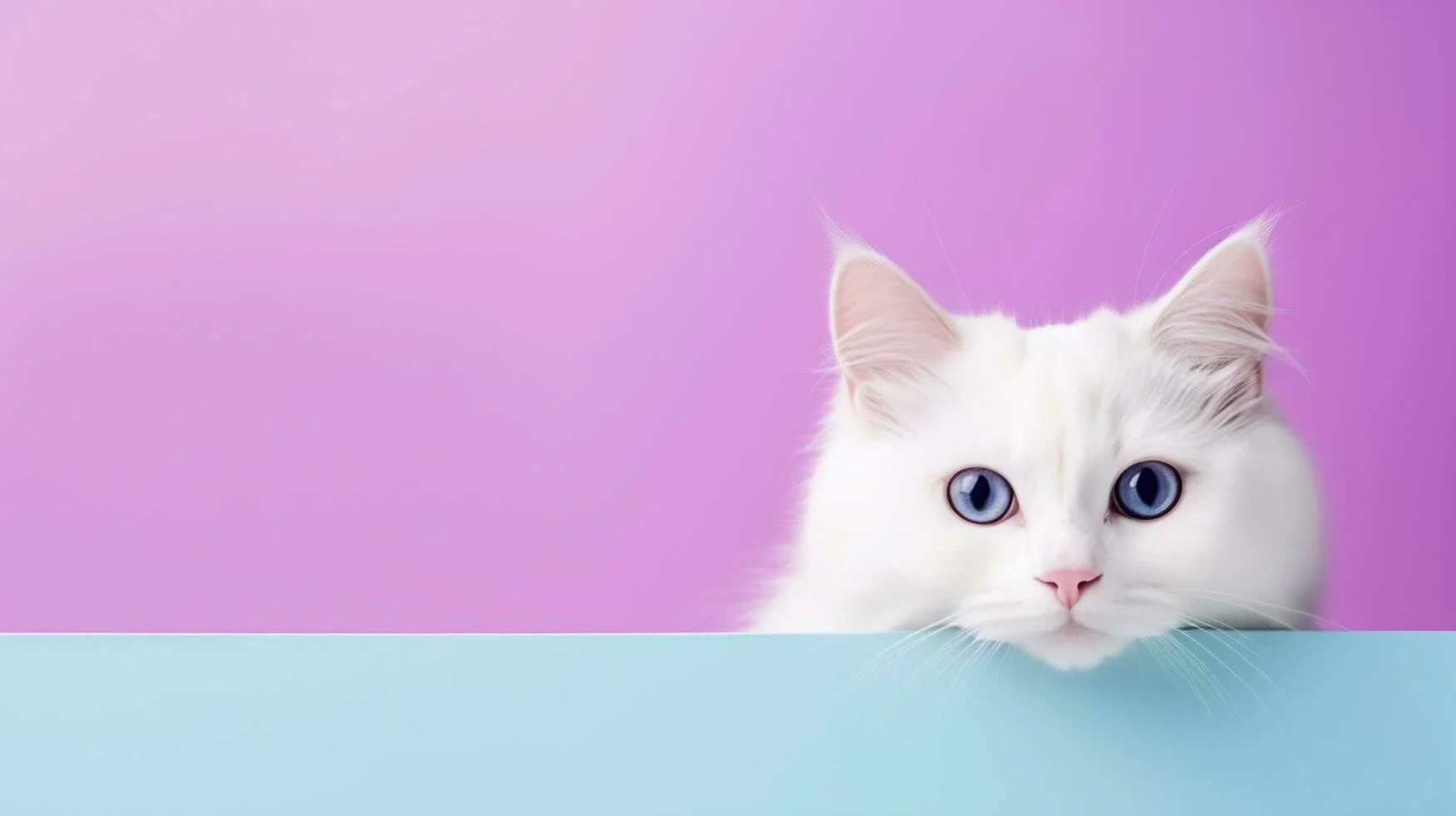 Banner slide