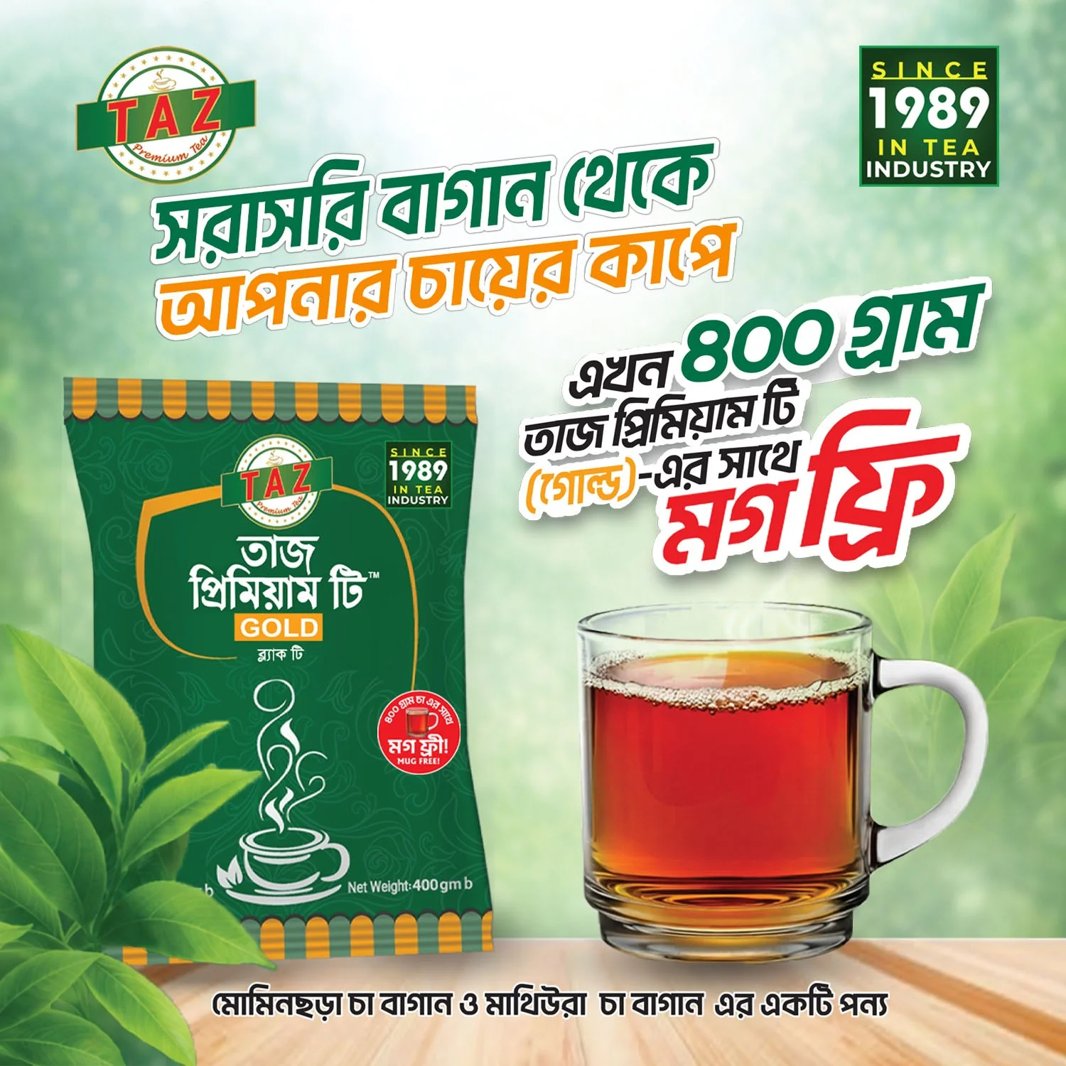 Gold Tea 400gm (MUG FREE)