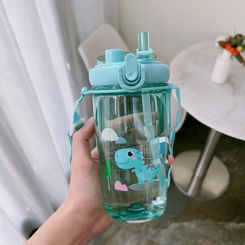 550ml 7305 model water bottle