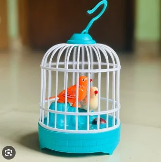 Talking Bird Voice Repeater & Musical toys for kids