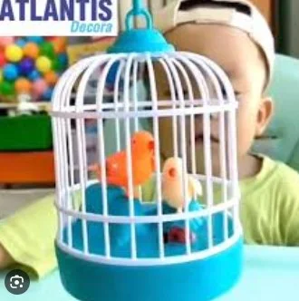 Talking Bird Voice Repeater & Musical toys for kids