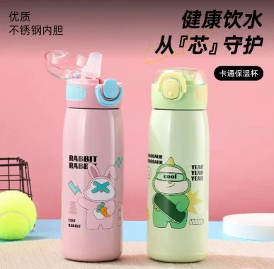 620 ML Stainless steel straw water bottle