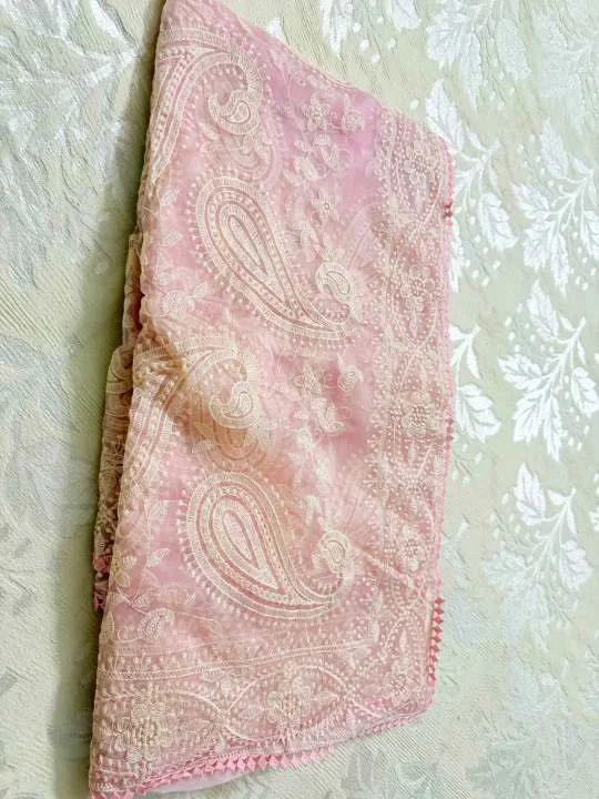 🇦🇷🇦🇷Pure Orgenza Tissue Chiken Work With GOP lace Border  Blouse Running Silk