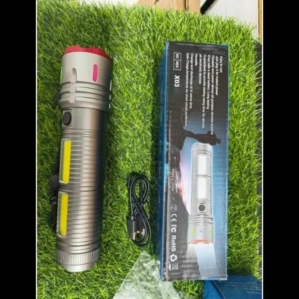 Torch Light